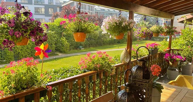 EYÜPSULTAN'IN EN GÜZEL BAHÇETERAS VE BALKONLARI BELLİ OLDU