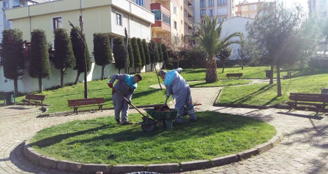 ÜMRANİYE'DE BİR AY DA 1100 AĞAÇ DİKİLDİ