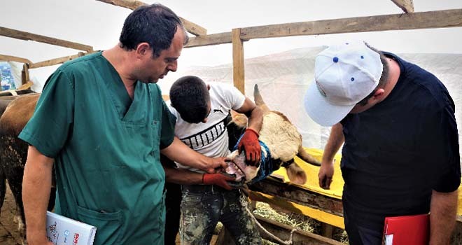 ÜMRANİYE KURBAN BAYRAMI’NA HAZIR